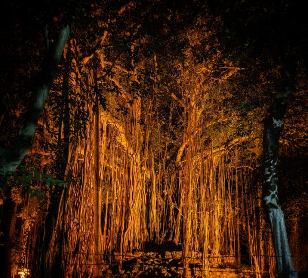 Visva Bharati Santiniketan